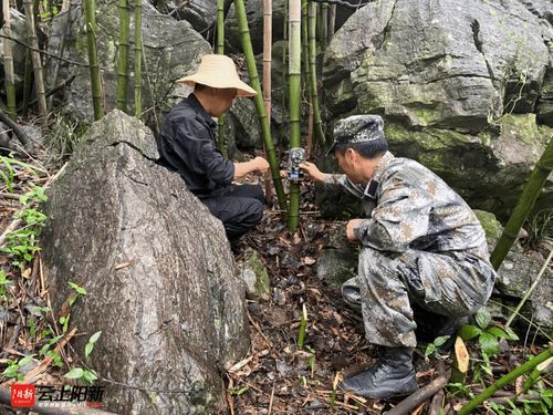 网湖湿地自然保护区大力推进野生动物资源监测